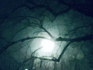 Full moon